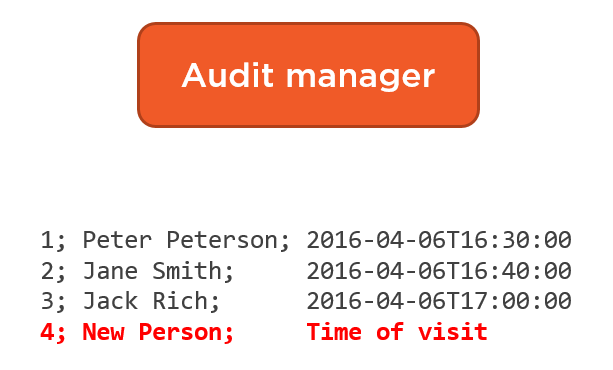 Audit manager